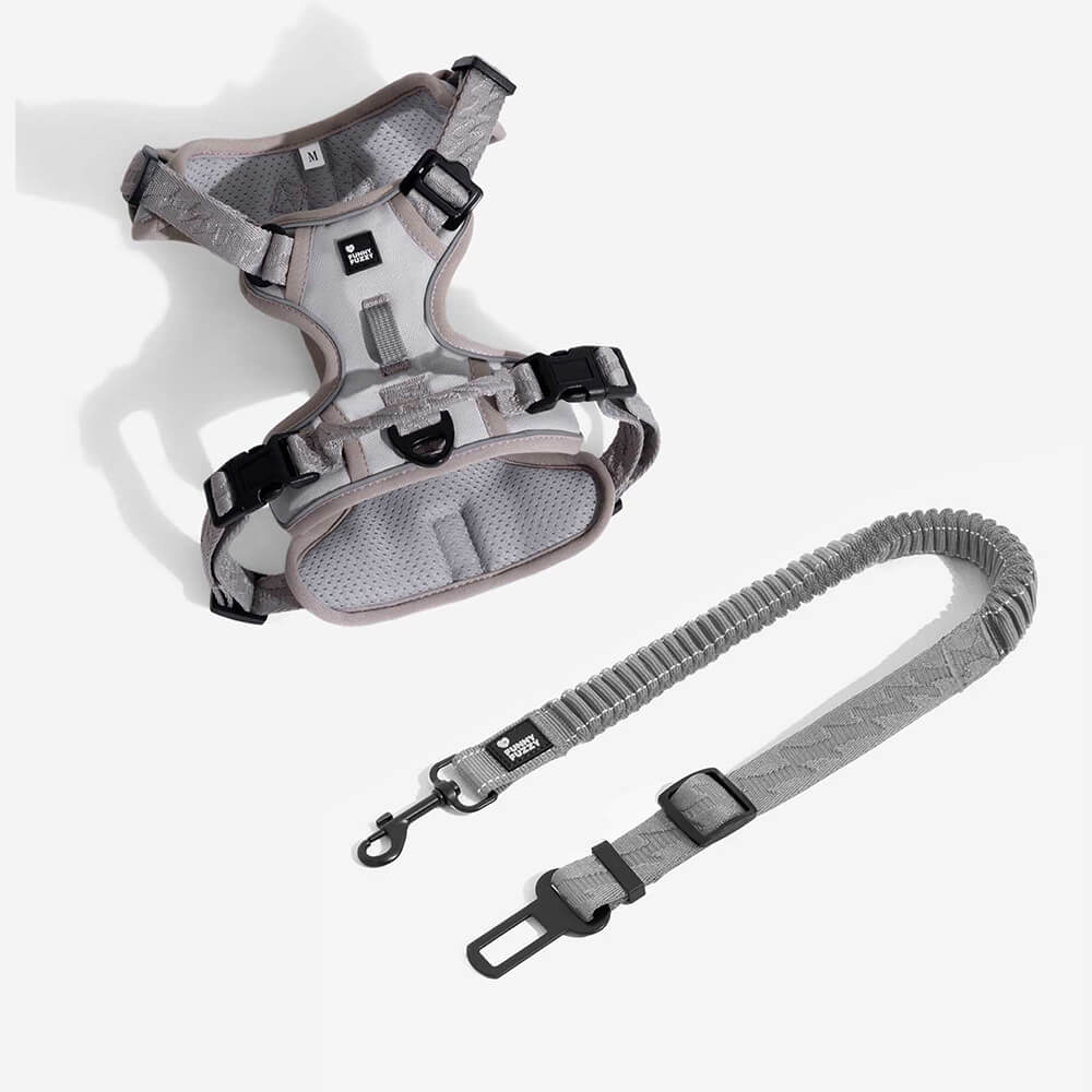 Cintura di sicurezza regolabile per cani freschi accessori per auto