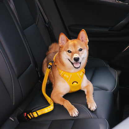 Cintura di sicurezza regolabile per cani freschi accessori per auto