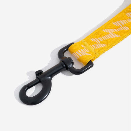 Cintura di sicurezza regolabile per cani freschi accessori per auto