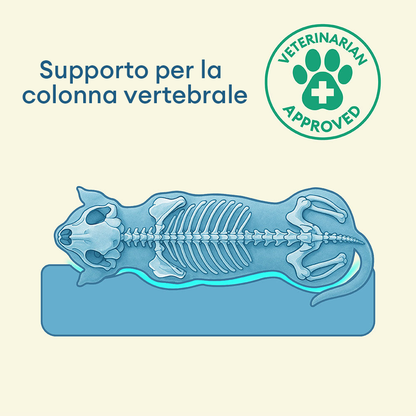 Letto Ortopedico Impermeabile per Cani di Taglia Grande