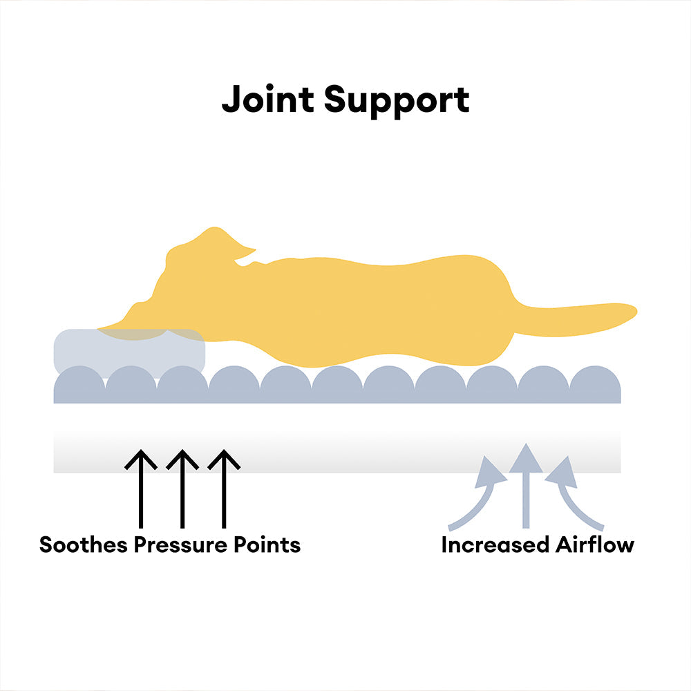 Cuscino ortopedico morbido e soffice per cani lavabile e grande - Letti per cani Snoozy Dream