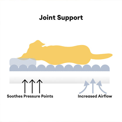 Cuscino ortopedico morbido e soffice per cani lavabile e grande - Letti per cani Snoozy Dream