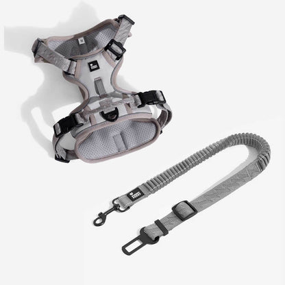 Cintura di sicurezza regolabile per cani freschi accessori per auto