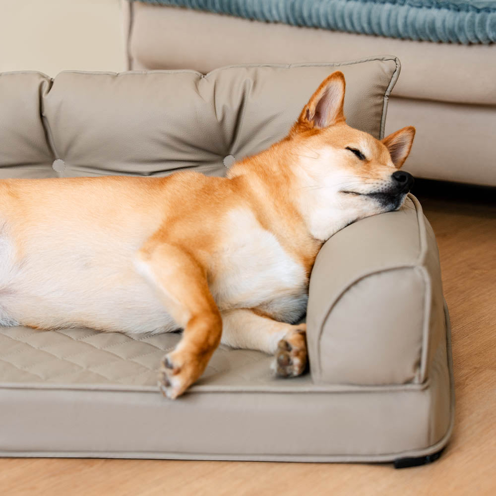Letto per cani grande ortopedico pieghevole in finta pelle di lusso - CoreLounge