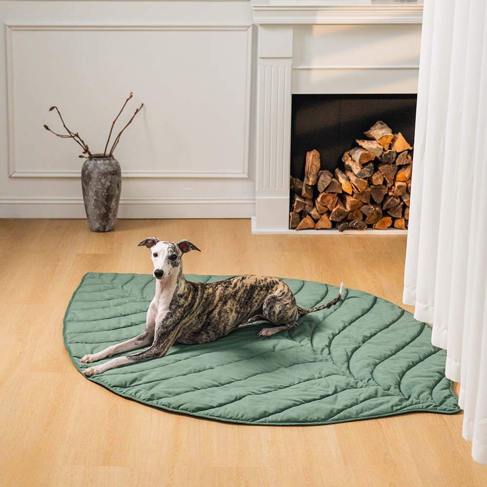 Coperta per cani a forma di foglia