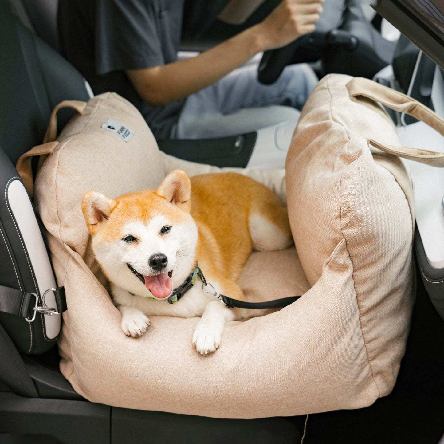 Letto per auto per cani - Prima Classe