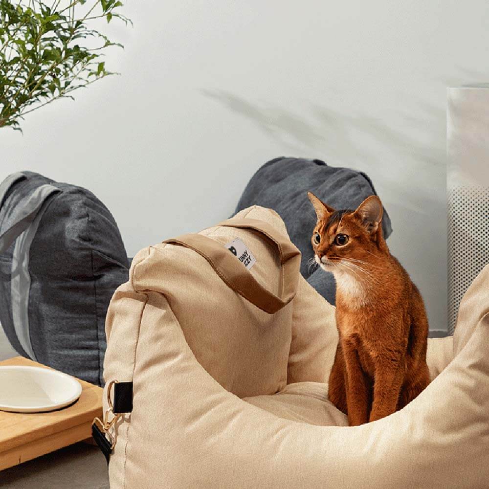 Letto per auto per cani - Prima Classe