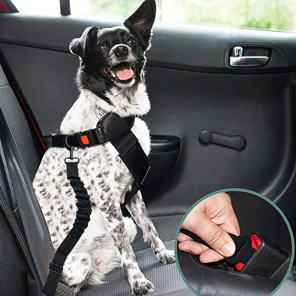Cintura di sicurezza regolabile per cani freschi accessori per auto