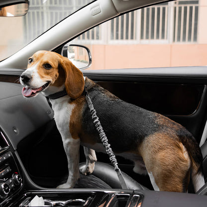 Cintura di sicurezza regolabile per cani freschi accessori per auto