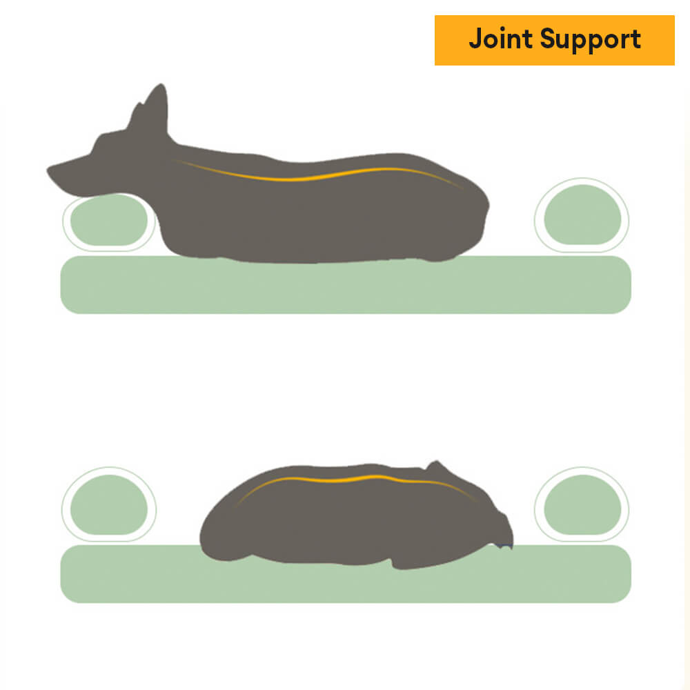 Letto per cane e gatto spazioso, accogliente, resistente, ortopedico e lavabile.