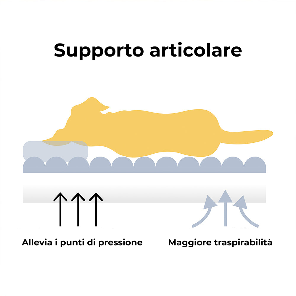 Cuscino ortopedico per cani grande, morbido e lavabile per divano letto, Snoozy Dream