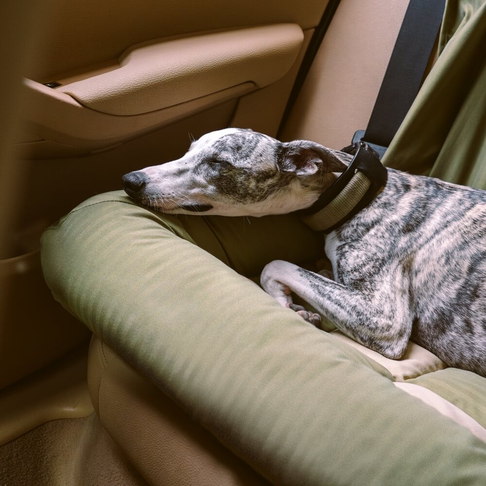 Cuscino di Sicurezza per Viaggiare Sedia Auto per Cani di Grandi Dimensioni - Lounge a Scacchiera