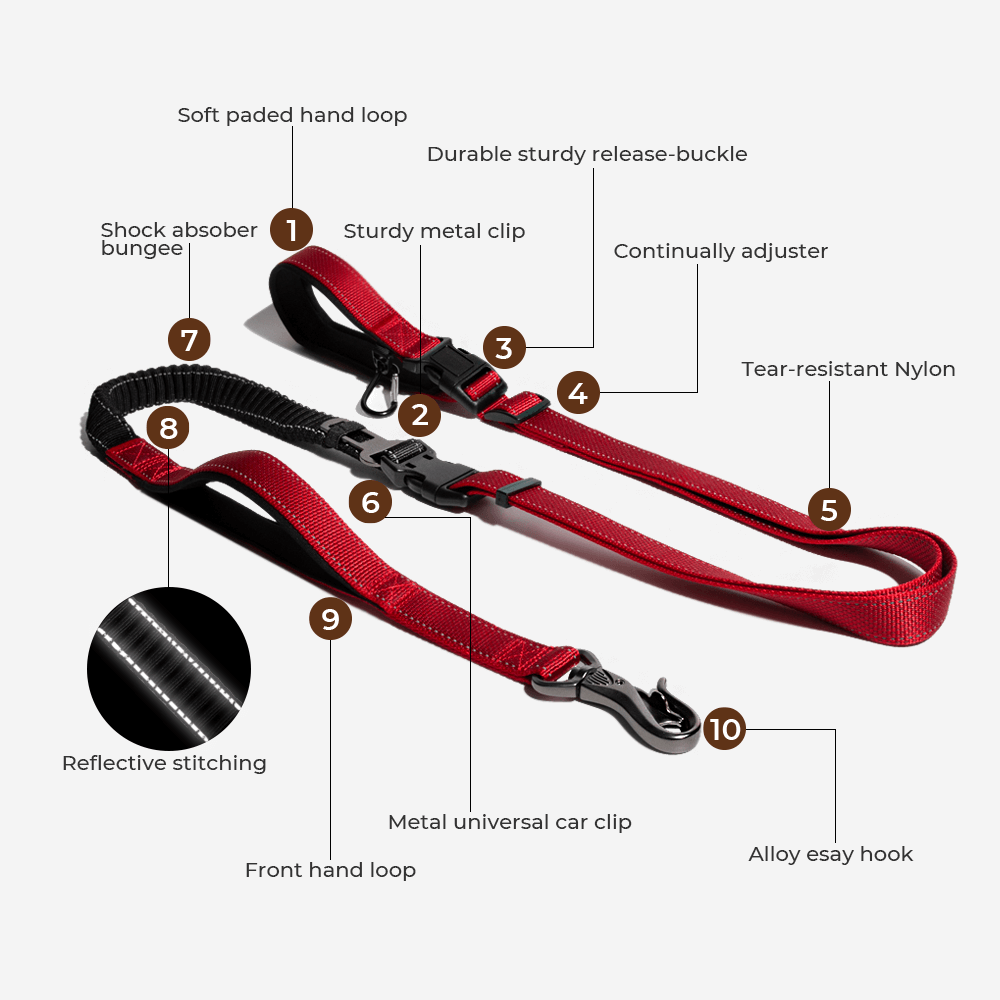 Accessori per cani riflettenti, impermeabili e per tutte le condizioni atmosferiche, giacca antipioggia.