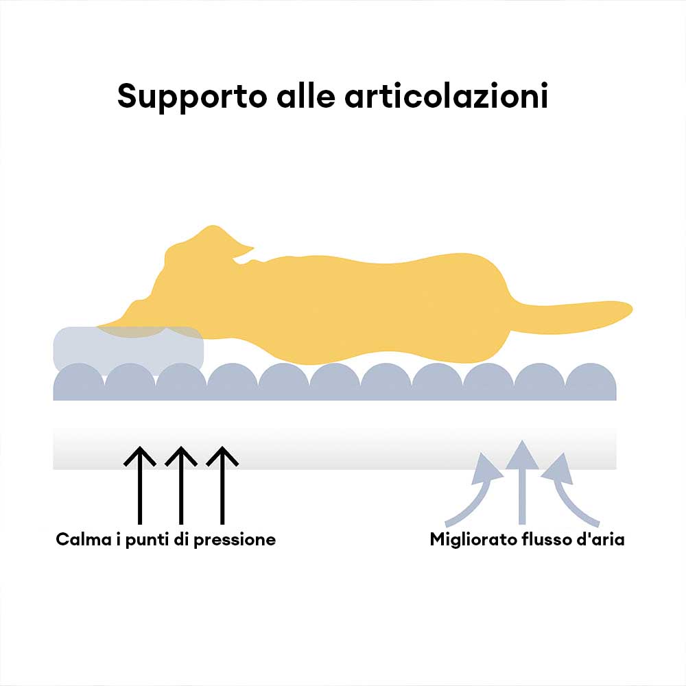 Grande cuscino ortopedico morbido e lavabile per cani, letto per cani Snoozy Dream