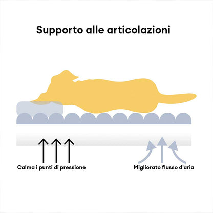 Grande cuscino ortopedico morbido e lavabile per cani, letto per cani Snoozy Dream