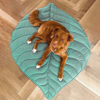 Coperta per cani a forma di foglia